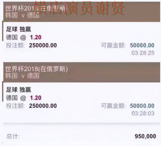 新手必看：世界杯投注平台合集真实体验+直播详解 + 世界杯官方信息